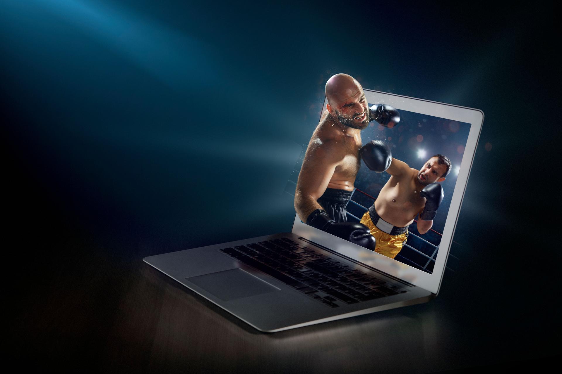 Boxing on laptop. Live broadcast